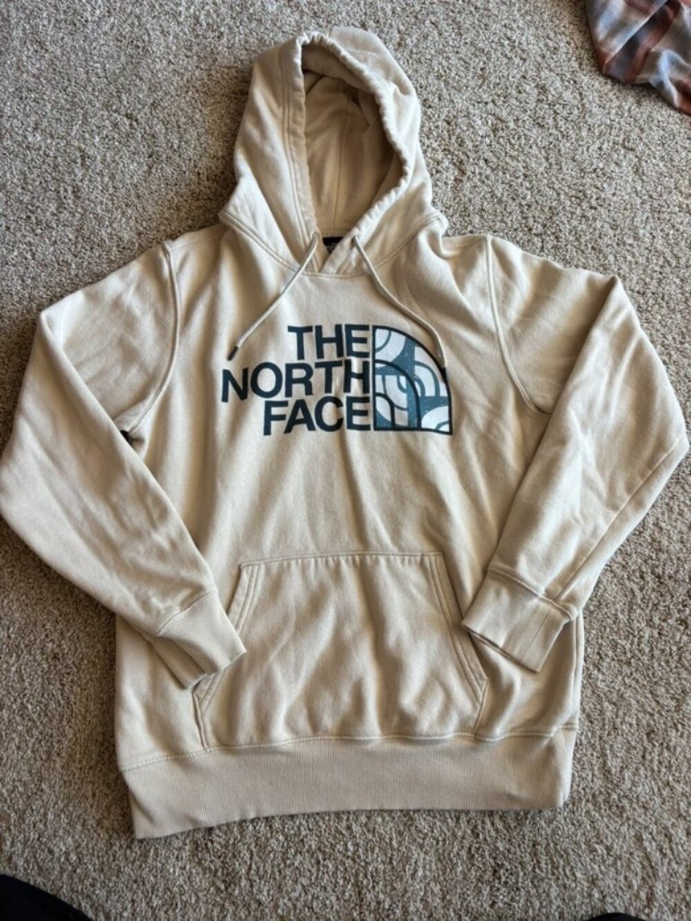 The north face sweatshirt